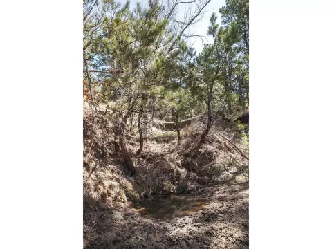 24290 Evergreen Trl, Agate, CO 80101 photo 15