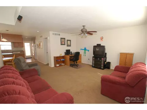 9659 E 112th Dr, Henderson, CO 80640 photo 10