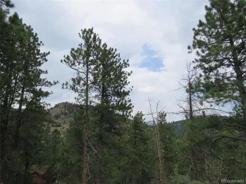 Other - 1899 Roland Dr, Bailey, CO 80421 photo 2 of 3