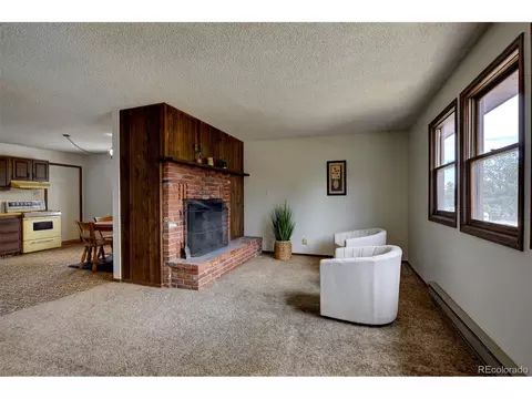 Living - 1899 Roland Dr, Bailey, CO 80421 photo 3 of 4