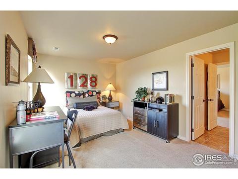12224 Roslyn St, Thornton, CO 80602 photo 21