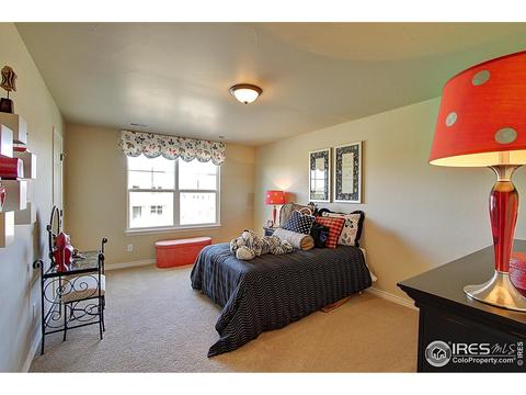 12224 Roslyn St, Thornton, CO 80602 photo 19