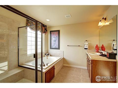12224 Roslyn St, Thornton, CO 80602 photo 18