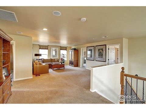 12224 Roslyn St, Thornton, CO 80602 photo 13