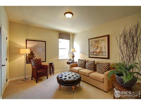 12224 Roslyn St, Thornton, CO 80602 photo 11