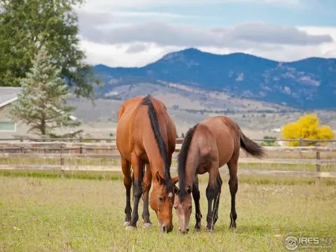 621 Sundown Ct, Berthoud, CO 80513 photo 4
