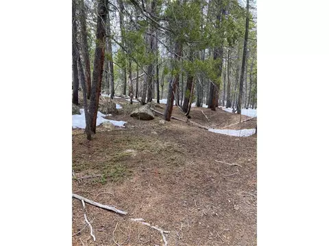 3 Forest Service 4092d Rd, Black Hawk, CO 80422