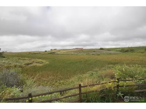 2038 Shoreline Ct, Windsor, CO 80550 photo 6