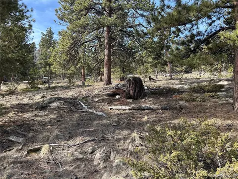 1506 Bellows Rd, Hartsel, CO 80449 photo 3