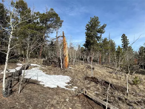 1506 Bellows Rd, Hartsel, CO 80449 photo 10