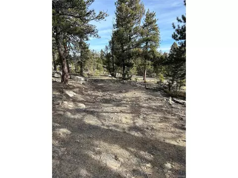 1506 Bellows Rd, Hartsel, CO 80449 photo 4