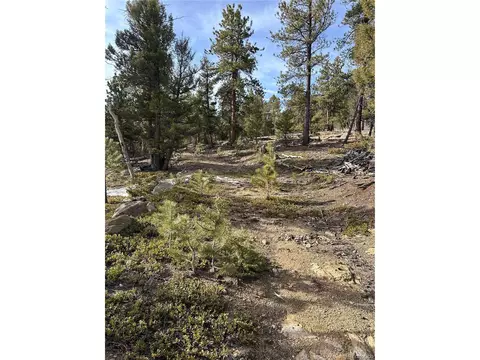 1506 Bellows Rd, Hartsel, CO 80449 photo 13