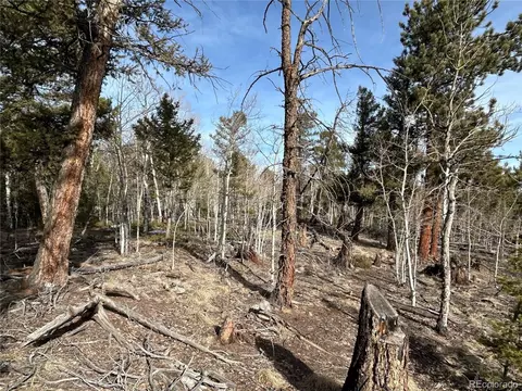 1506 Bellows Rd, Hartsel, CO 80449 photo 9