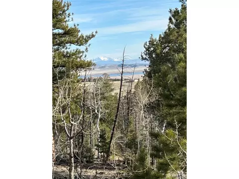 1506 Bellows Rd, Hartsel, CO 80449 photo 5