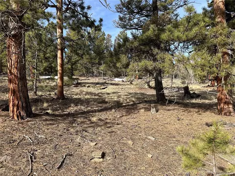 1506 Bellows Rd, Hartsel, CO 80449 photo 2
