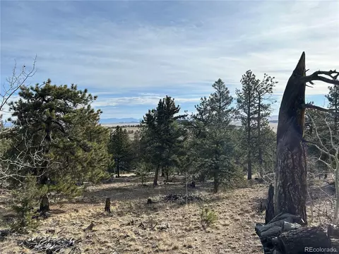 1506 Bellows Rd, Hartsel, CO 80449 photo 6