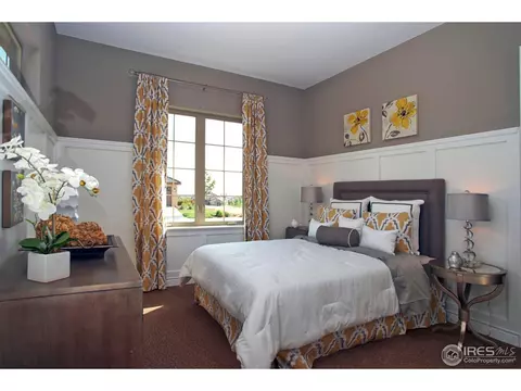 6780 Clovis Ct, Timnath, CO 80547 photo 18