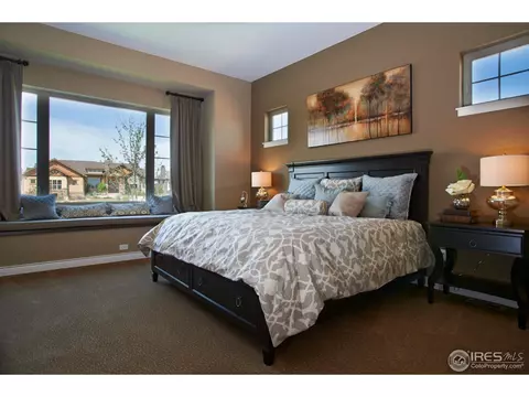 6780 Clovis Ct, Timnath, CO 80547 photo 15