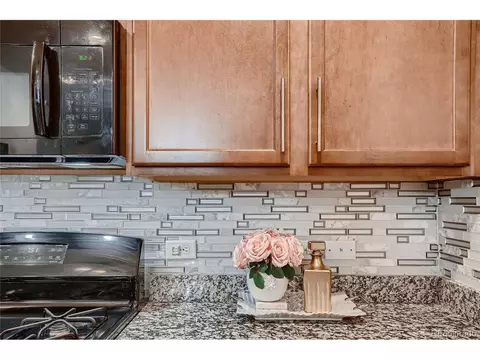 25167 E Maple Ave, Aurora, CO 80018 photo 35