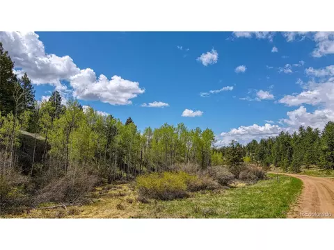 765 Pinon Ln, Florissant, CO 80816