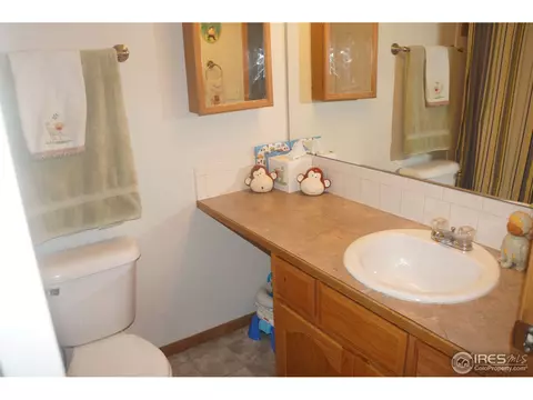 3816 Tumbleweed Dr, Evans, CO 80620 photo 7