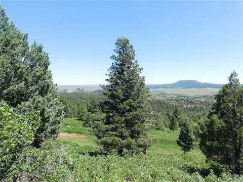 5900 Pawnee Rd, Larkspur, CO 80118