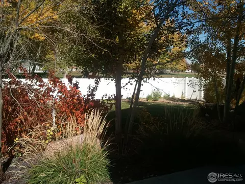 2579 Basil Dr, Mead, CO 80542 photo 2