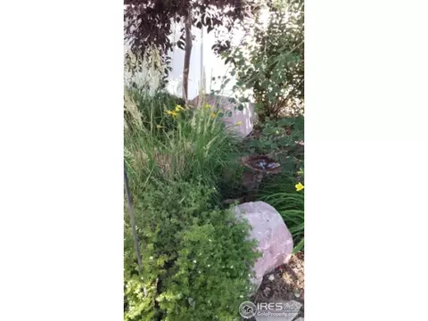 2579 Basil Dr, Mead, CO 80542 photo 18