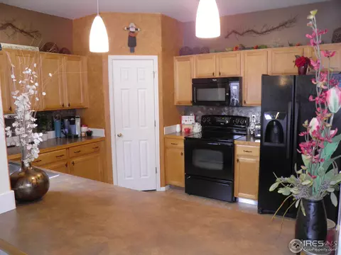2579 Basil Dr, Mead, CO 80542 photo 7