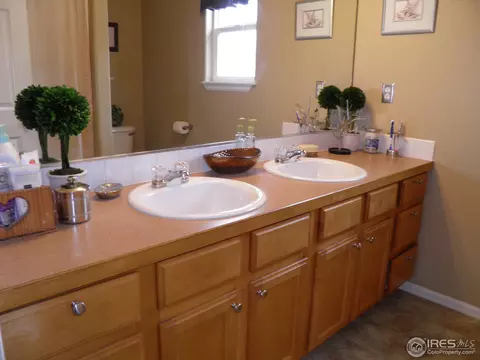 2579 Basil Dr, Mead, CO 80542 photo 13