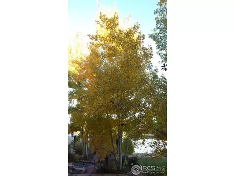 2579 Basil Dr, Mead, CO 80542 photo 19