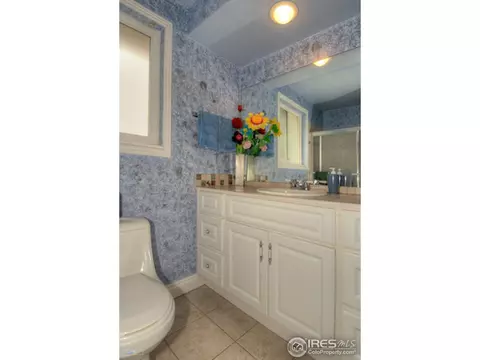 4156 S Reading Way, Denver, CO 80237 photo 22