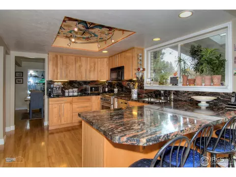 4156 S Reading Way, Denver, CO 80237 photo 7