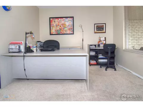 4156 S Reading Way, Denver, CO 80237 photo 15