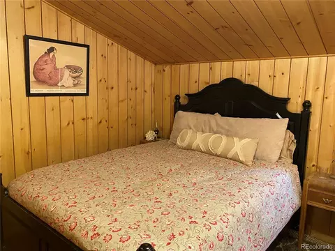 28368 Park Ave, Pine, CO 80470 photo 15