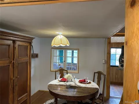 28368 Park Ave, Pine, CO 80470 photo 10