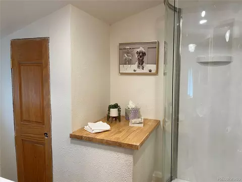 28368 Park Ave, Pine, CO 80470 photo 17