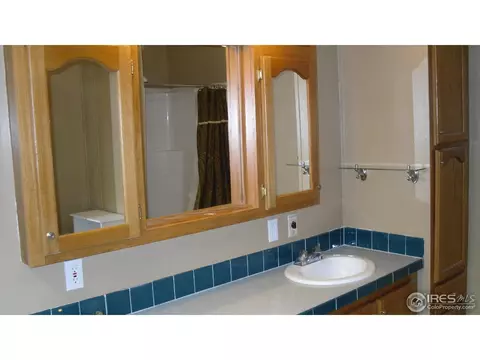 1065 Macdavidson Cir, Dacono, CO 80514 photo 10