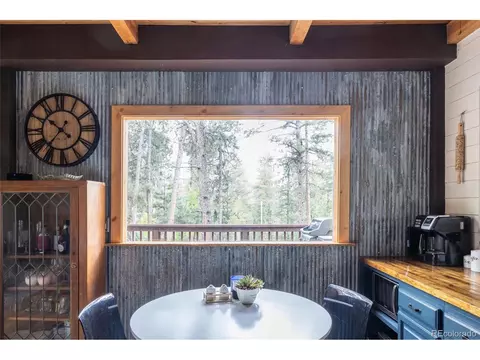 22097 Barton Ave, Conifer, CO 80433 photo 8