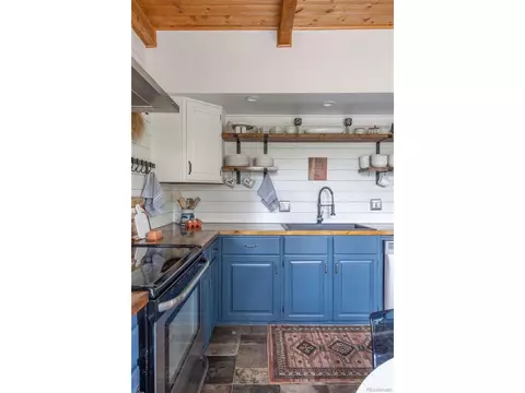 22097 Barton Ave, Conifer, CO 80433 photo 11