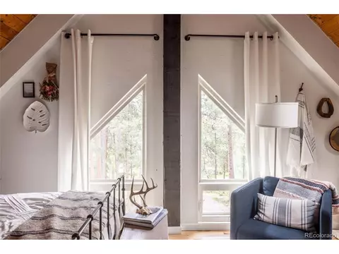 22097 Barton Ave, Conifer, CO 80433 photo 20