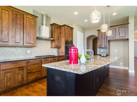 7728 Devinney Ct, Arvada, CO 80005 photo 19