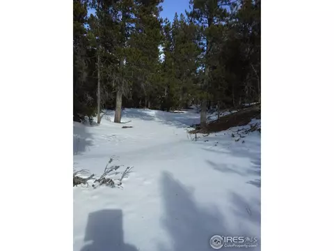 91 Hacker Dr, Black Hawk, CO 80422 photo 5