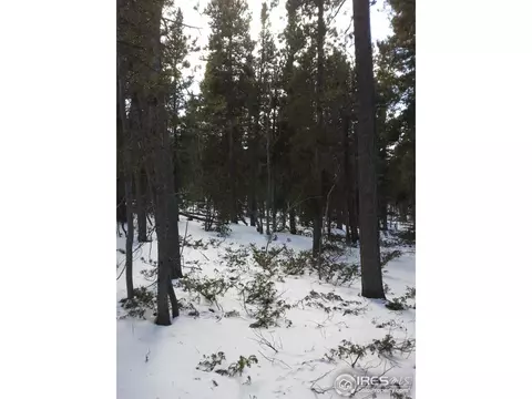 91 Hacker Dr, Black Hawk, CO 80422 photo 7
