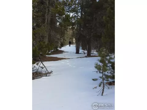 91 Hacker Dr, Black Hawk, CO 80422 photo 6