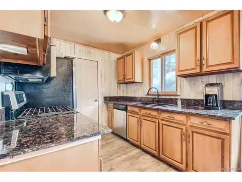 145 Bailey Dr, Bailey, CO 80421 photo 8