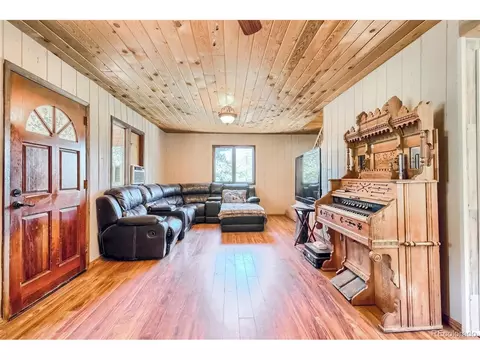145 Bailey Dr, Bailey, CO 80421 photo 3