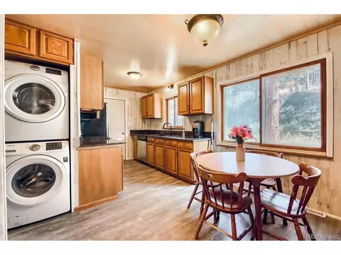 145 Bailey Dr, Bailey, CO 80421 photo 11