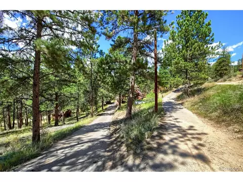 145 Bailey Dr, Bailey, CO 80421 photo 40