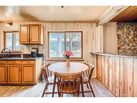 145 Bailey Dr, Bailey, CO 80421 photo 10